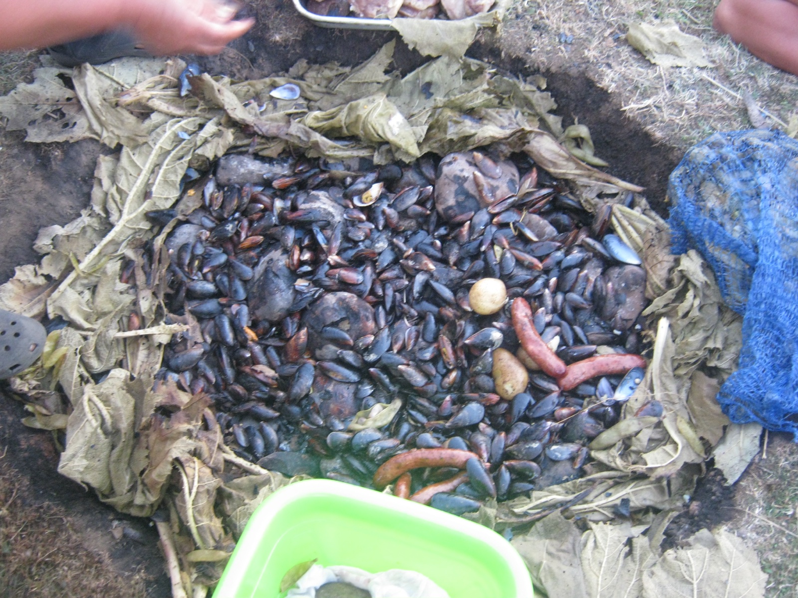 Curanto al hoyo con mariscos, carnes, papas, milcaos y chapaleles en Chiloé